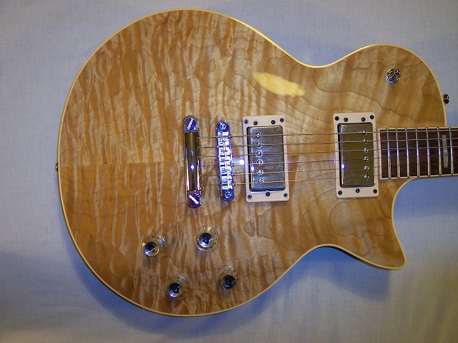 Bluesbird Picture 7